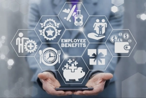 Benefits of Using the Massachusetts Business Entity Search
