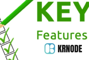 Key Features of the Business Entity Search