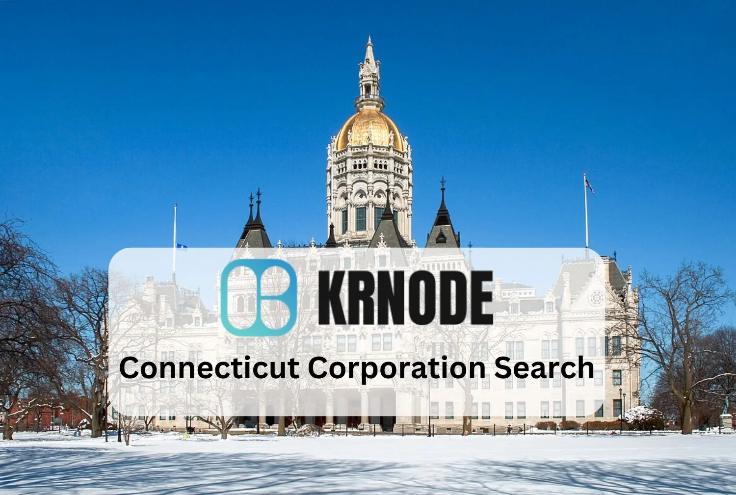 Connecticut Corporation Search