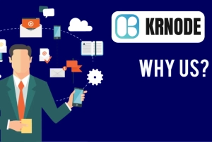 Why Choose Krnode Support & Solutions